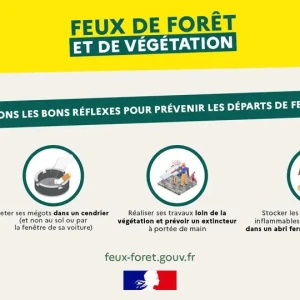 Ayons les bons réflexes face aux feux de forêt et de végétation !
