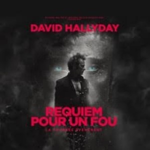 DAVID HALLYDAY - EN CONCERT