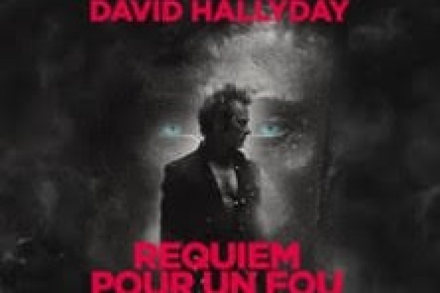 DAVID HALLYDAY - EN CONCERT