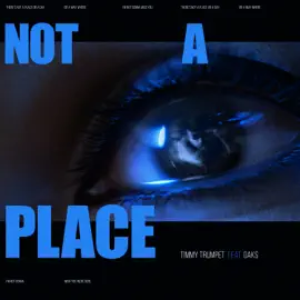 Timmy Trumpet - Not A Place (feat Oaks)